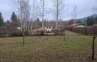Teren deosebit pozitionat, cu livada, langa padure,  pe Valea Avrigului - 10