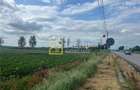 Teren intravilan de 8333 mp, în Secu - 13