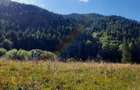 Teren Intravilan | Schitu Tarcau | 2089MP | Izvor | Platou - 3