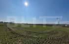 Teren extravilan, 7.300 mp, front 51 ml - Falticeni - 2