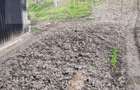 Vand casa la Nadrag zona linistita foarte aproape de centru - 11
