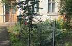Vanzare casa primitoare - 1