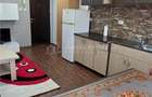 Apartament 2 camere de inchiriat Class Park - 5