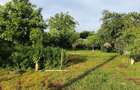 Super oferta , casa de vanzare 52.000 euro discutabil. - 3