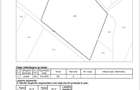 Proprietar, vand 11,5 ha, 5000 Eur/ha teren agricol in Zavoaia/Braila - 2