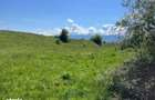 Teren de vanzare Valea Avrigului - 2