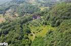 CASTEL DE VANZARE IN MARAMURES - 6