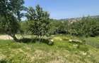 Casă individuală cu 4 camere cu Teren 870 Mp în Feleacu - 9