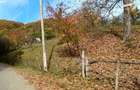 Vanzare teren intravilan - 3