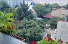 Apartament cu 3 camere semidecomandat în Dristor - 1