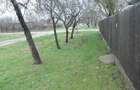 Casă cu 3 camere în Amara - 2