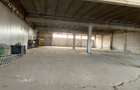 Spațiu industrial, în Șagului - 5