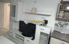 Apartament 2 camere de inchiriat in Bloc Nou Cetate mobilat - 5