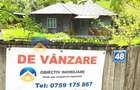 CASA traditionala BICAZU ARDELEAN + teren extravilan 1,6 hectare - 5