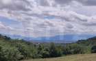 Teren extravilan de 28500 mp, în Gușterița - 4