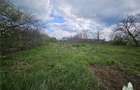 Teren agricol de 3846 mp, în Topraisar - 2
