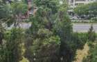 Apartament 3 camere Republicii - 2