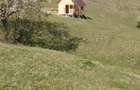 Cabanuta,teren si padure - 10