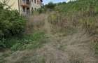 Teren de vanzare zona Bucium Plopii fara Sot - 3