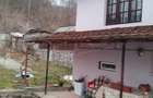 Casă cu 5 camere cu Teren 3424 Mp în Tismana - 7