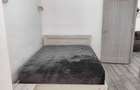 Vand apartament Blv Dem Radulescu - 8