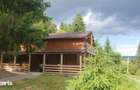Cabana de inchiriat in Toplita - 1