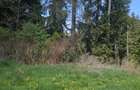 Vand teren impadurit - 5
