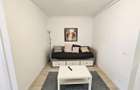 Apartament cu o camera de inchiriat, Hils Pallady - 15