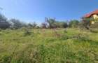 Teren Construcții intravilan de 2500 mp, în Voila - 9