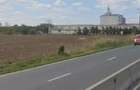 Teren intravilan 10 hectare, Păulești, Prahova - 2
