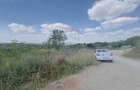 Teren agricol intravilan de 6372 mp, în Paleu - 5 Teren agricol intravilan de 6372 mp, în Paleu - 5