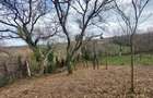 Casă cu 3 camere în Slatina-Nera - 2