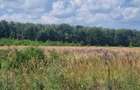 Vand teren direct proprietar - 2