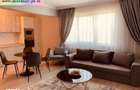 Apartament 2 camere + terasa inchisa de inchiriat : Albert - 1