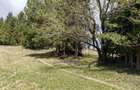Teren intravilan, 3040 mp, Dealu Botii, com Belis, Comision 0 - 4