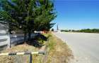 TEREN INDUSTRIAL | 1068 MP | SUPLACU DE BARCAU - 4