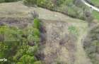 Teren extravilan 3.38 ha, zona naturala superba, Almasu Mare - 1