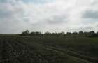 Teren agricol de 10100 mp, în Snagov - 14