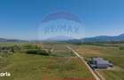 Teren Tohanu Nou, intrare Sohodol, 4800mp - 14