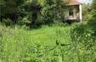 Domeniu verde autentic, +5.000mp, front la DJ, Valcele, Brasov -- Cov - 10