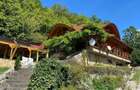 Locuin?a de vis cu poten?ial agroturistic, sat Carbunari - 5