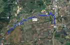 Teren de vanzare/inchiriat la 11 km de Autostrada - 6