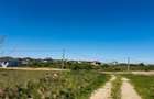 Teren intravilan 3800 mp Alparea langa padure - 3