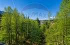 Apartament parter cu 2 camere, curte proprie in inima padurii - Sinaia - 16