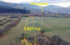 Teren 5.800 mp Purcareni curent, gaz, apa / Strada 30 de... - 3