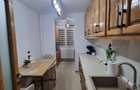 Apartament 3 camere Craiovei - 6