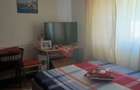 Malu Mare ,pret 95000 euro - 6