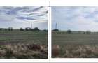 Teren extravilan Daia, Giurgiu - 3121101 - 2