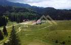 Teren Construcții de 5000 mp, în Brașovul Vechi - 3