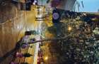 Vanzare afacere MAGAZIN ONLINE la cheie incaltaminte-genti - 5